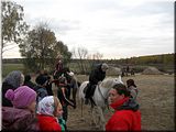 Катаемся на лошадях